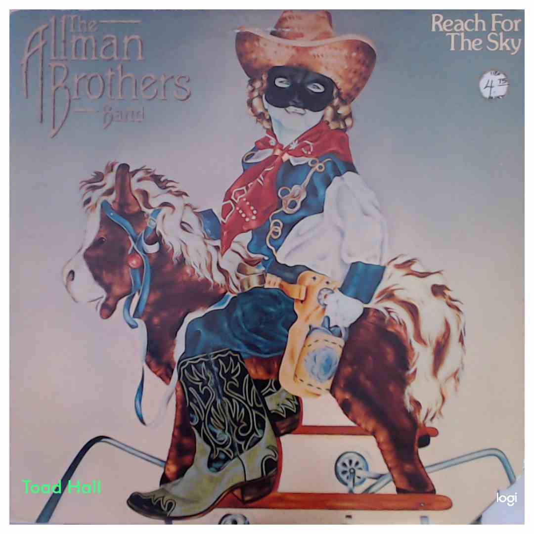 The Allman Brothers Band - Reach For The Sky - Used Vinyl