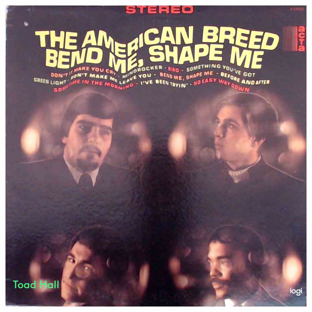 The American Breed - Bend Me, Shape Me - Used Vinyl
