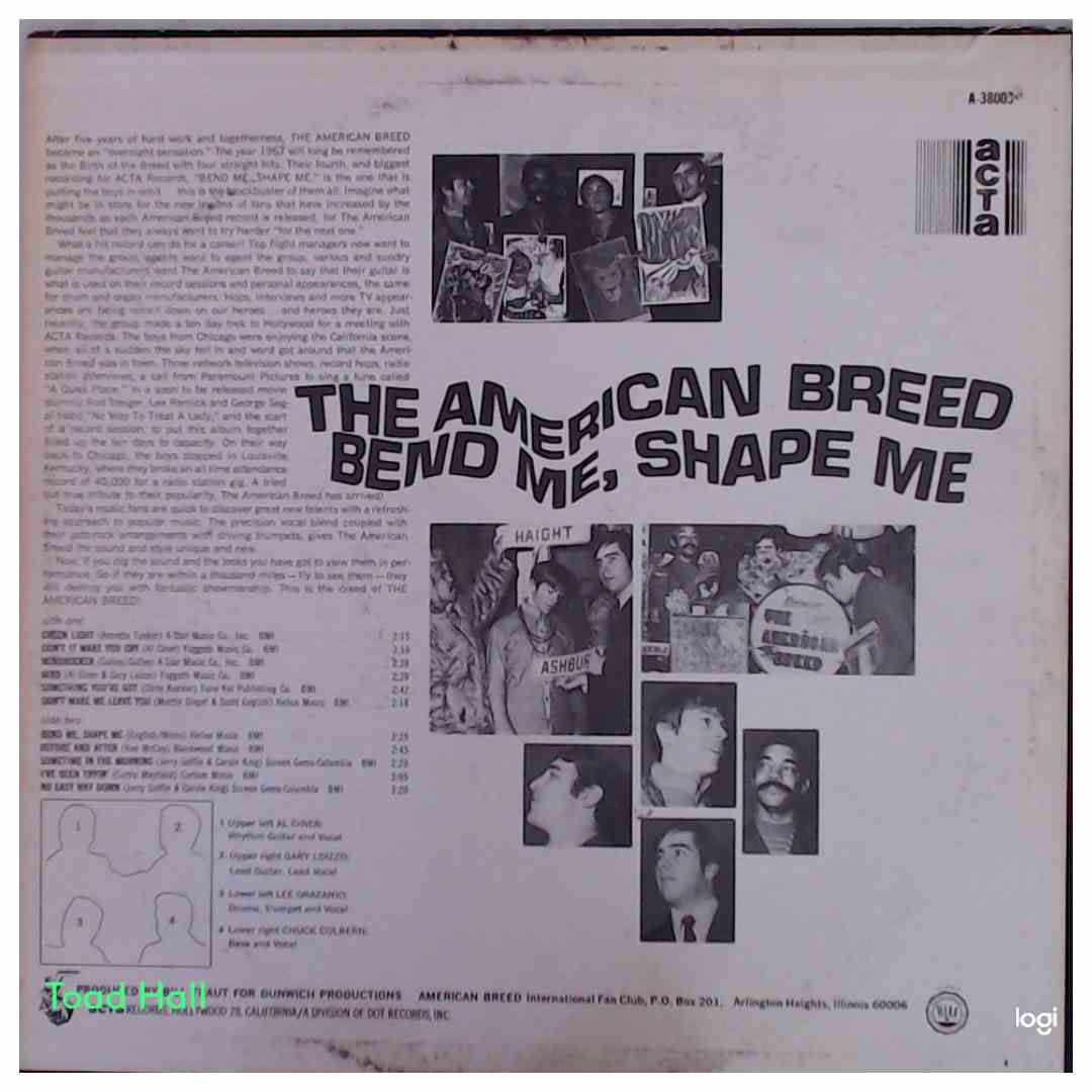The American Breed - Bend Me, Shape Me - Used Vinyl