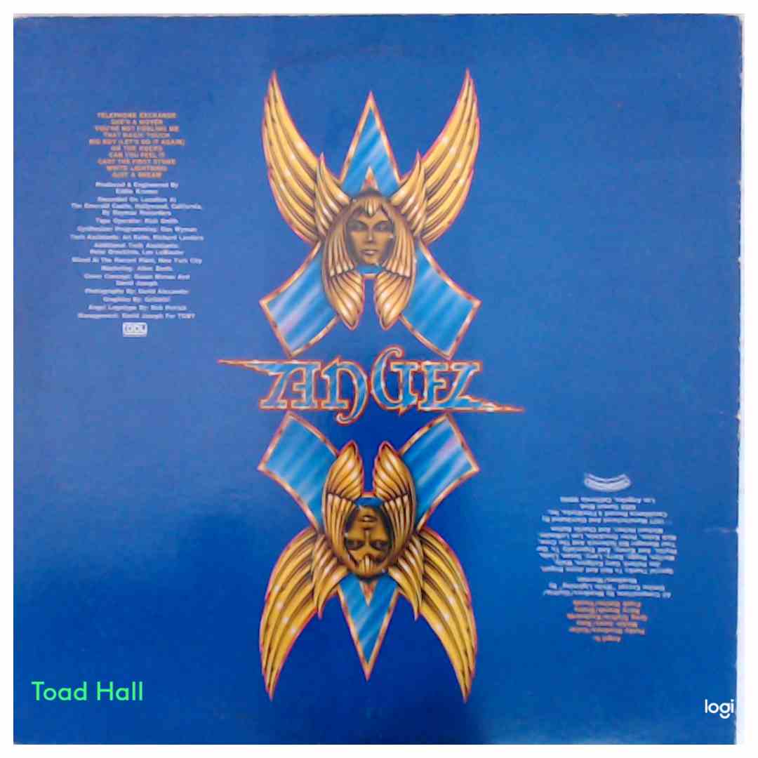 Angel - On Earth As It Is In Heaven - Used Vinyl