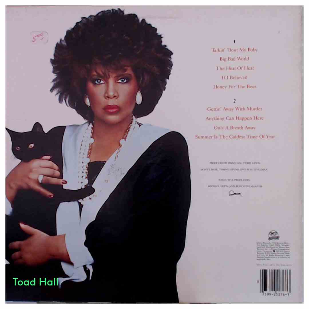 Patti Austin - Gettin' Away With Murder - Promo Cover - Used Vinyl