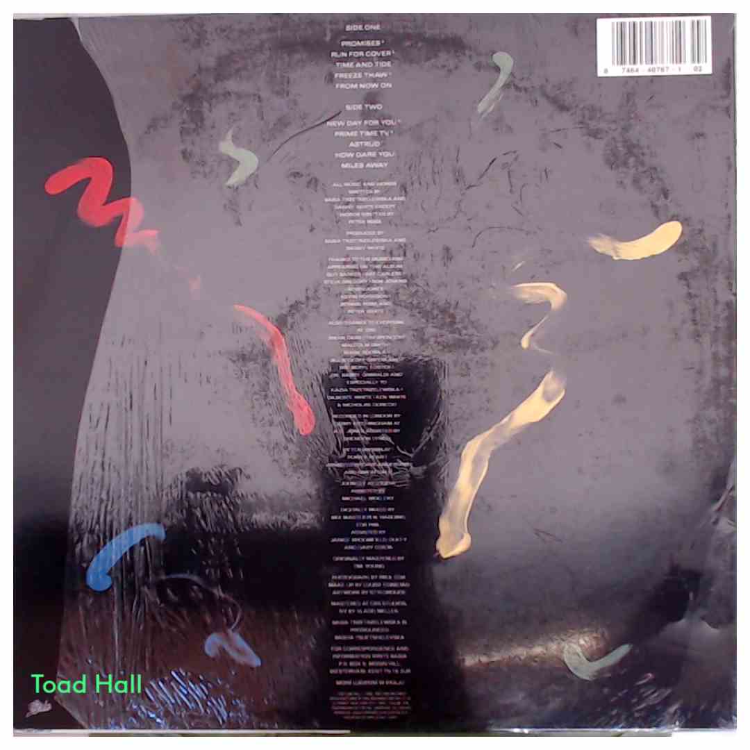 Basia - Time And Tide - Used Vinyl