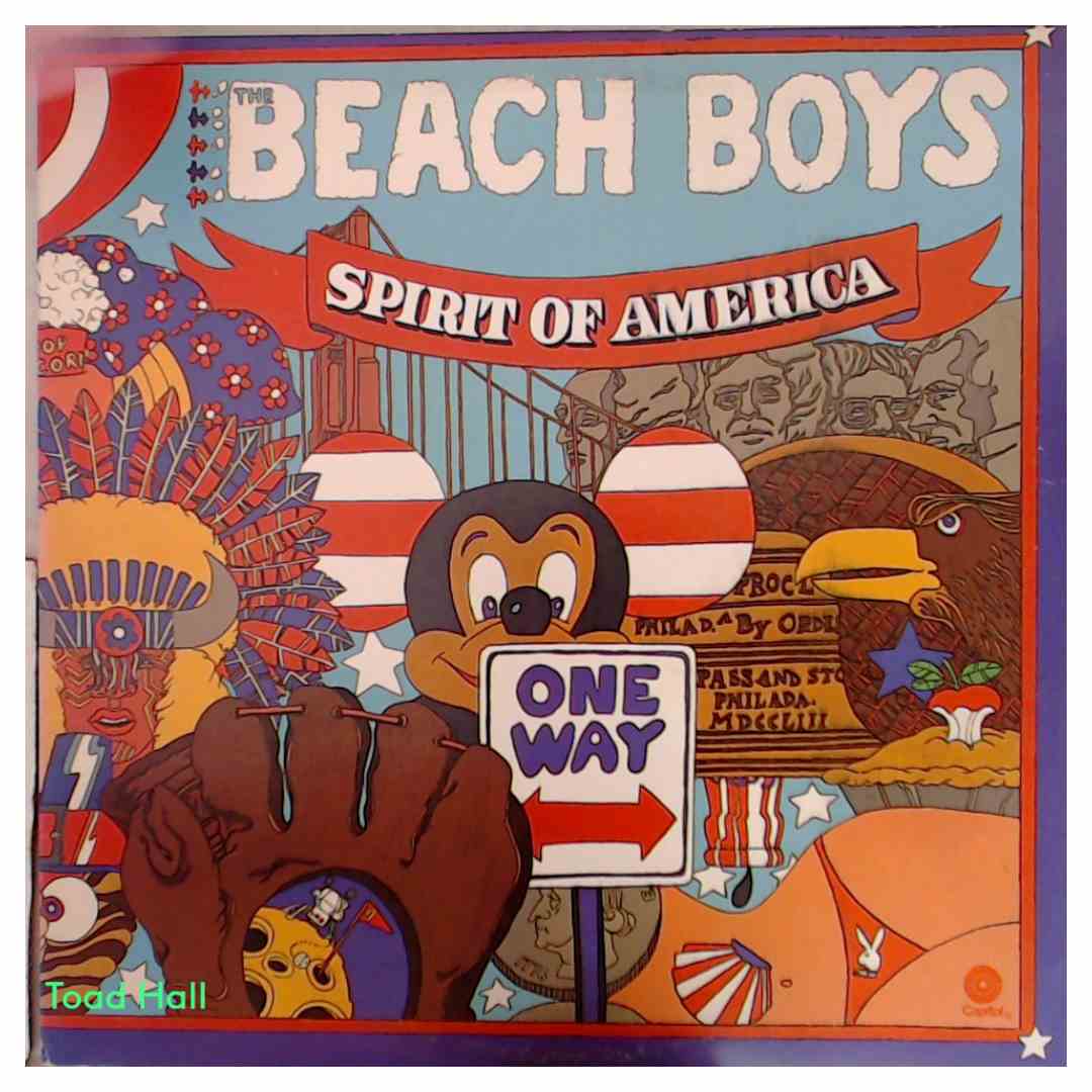 The Beach Boys - Spirit Of America - Used Vinyl