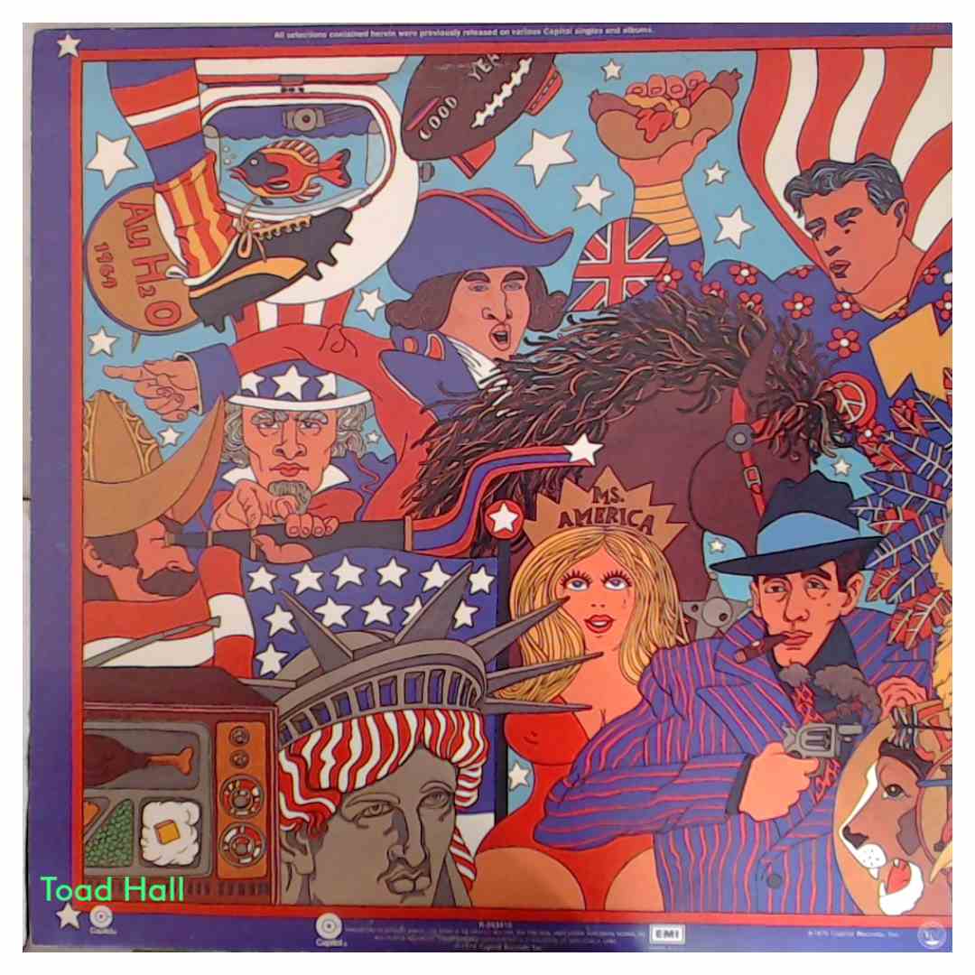 The Beach Boys - Spirit Of America - Used Vinyl