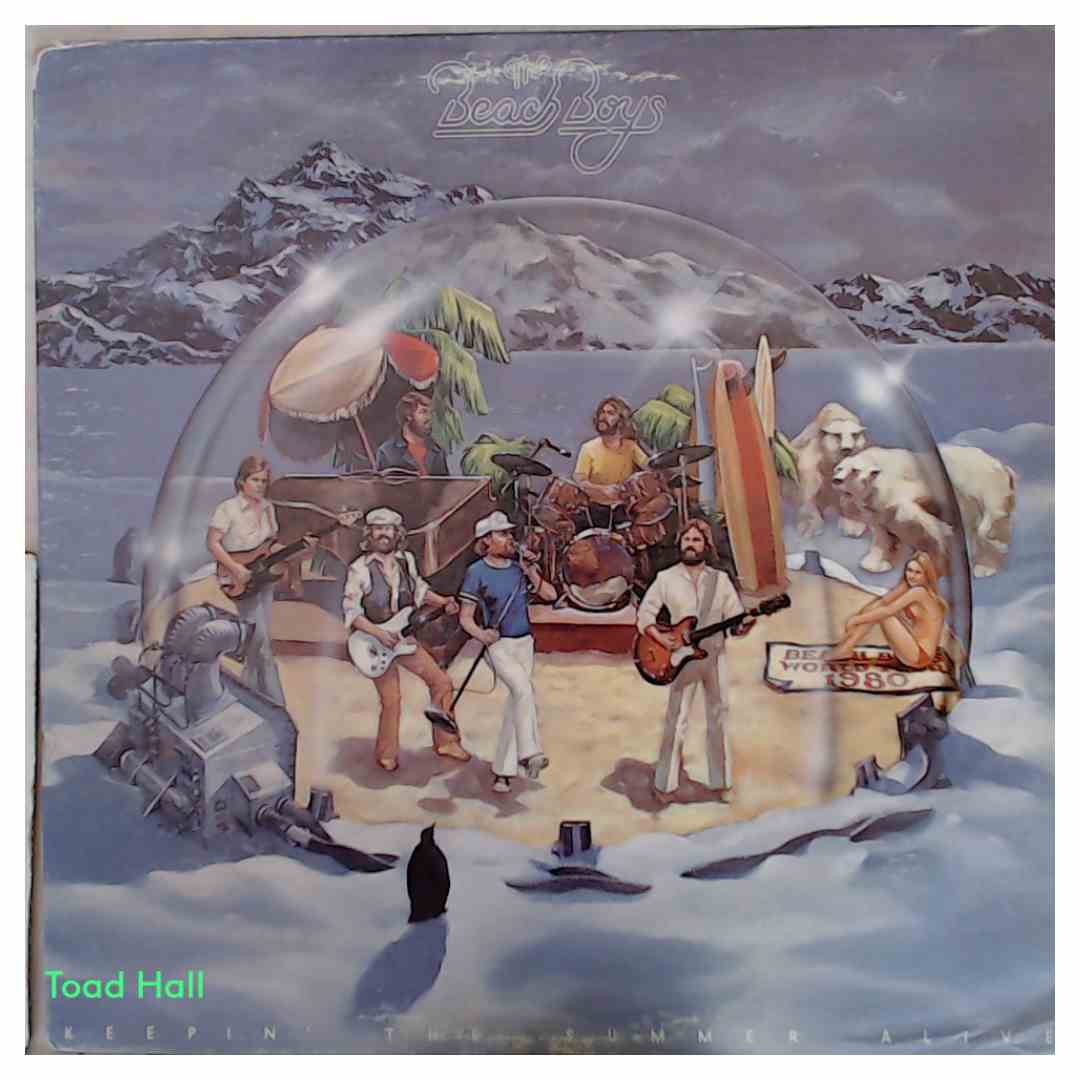 The Beach Boys - Keepin' The Summer Alive - Used Vinyl