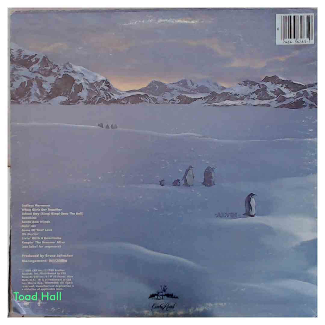 The Beach Boys - Keepin' The Summer Alive - Used Vinyl