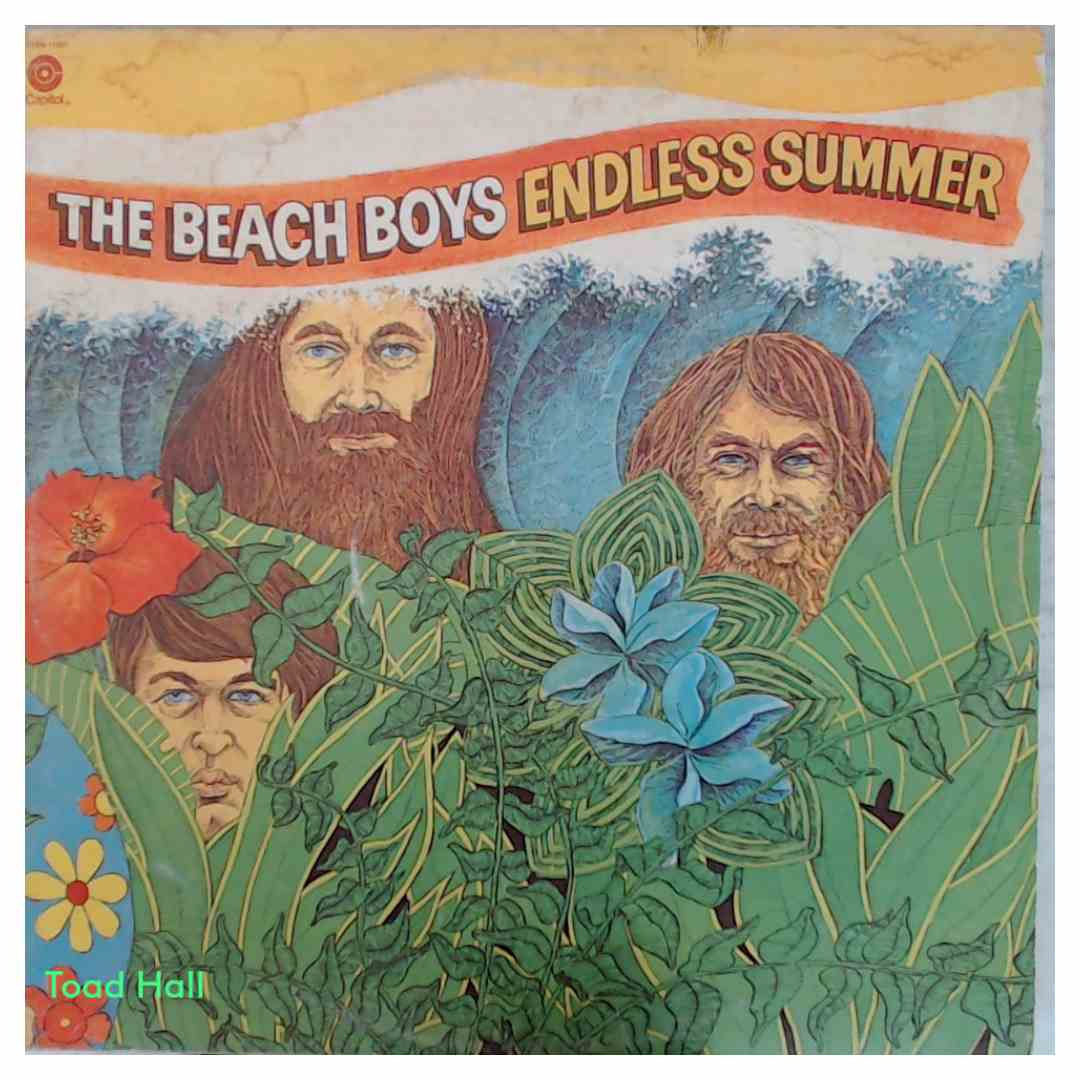 The Beach Boys - Endless Summer (record club edition) - Used Vinyl