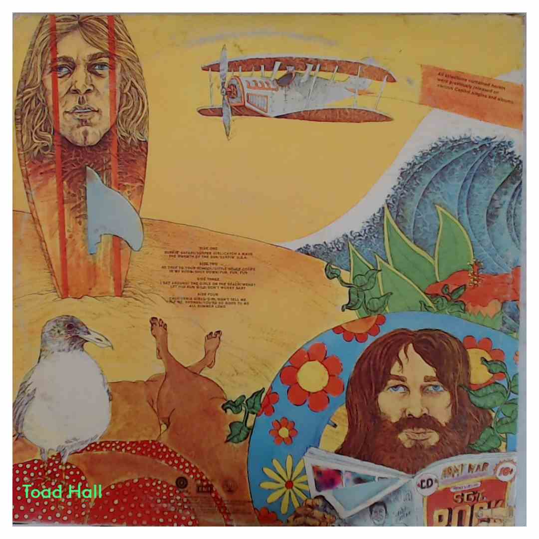 The Beach Boys - Endless Summer (record club edition) - Used Vinyl