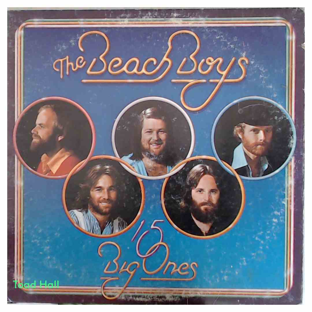 The Beach Boys - 15 Big Ones - Used Vinyl