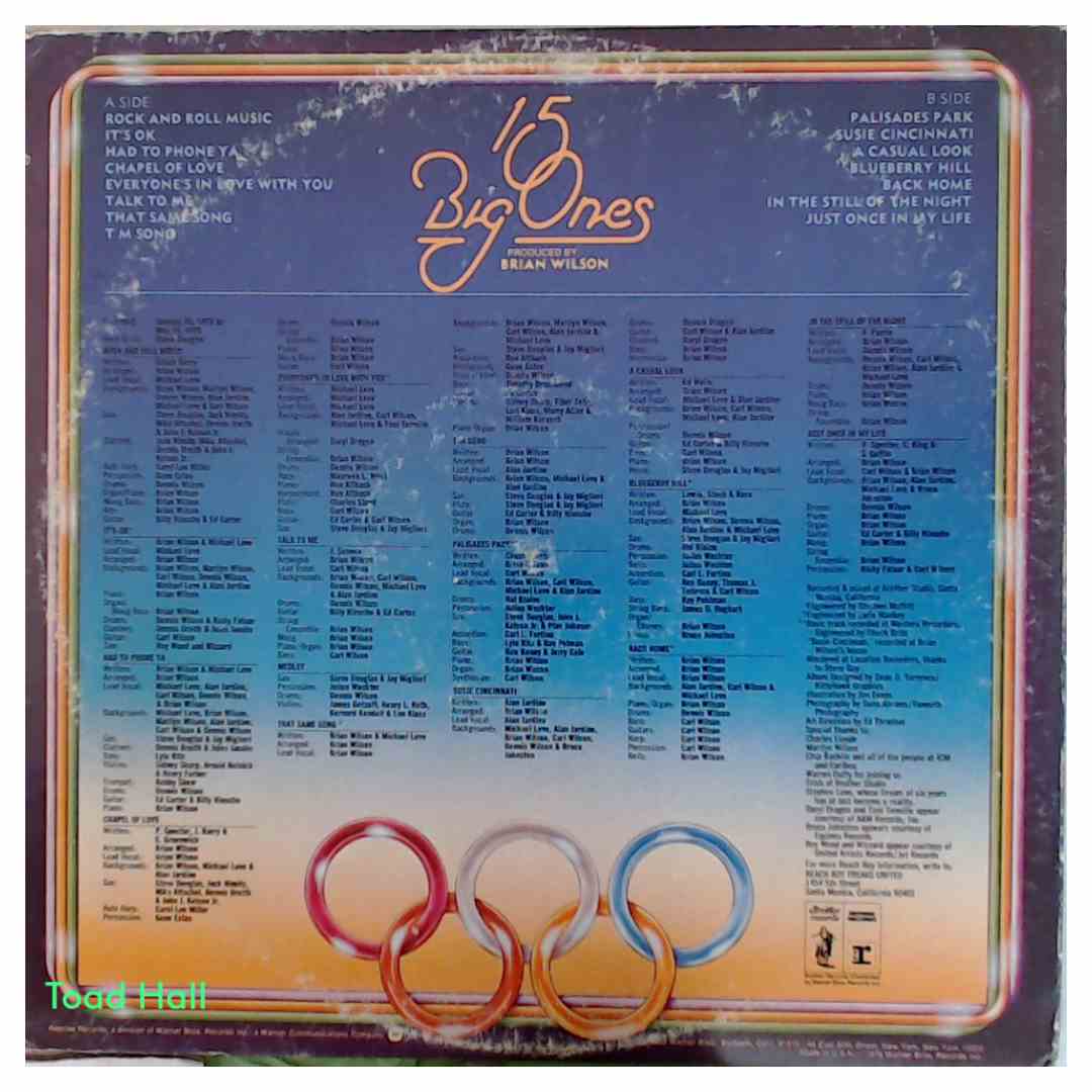 The Beach Boys - 15 Big Ones - Used Vinyl