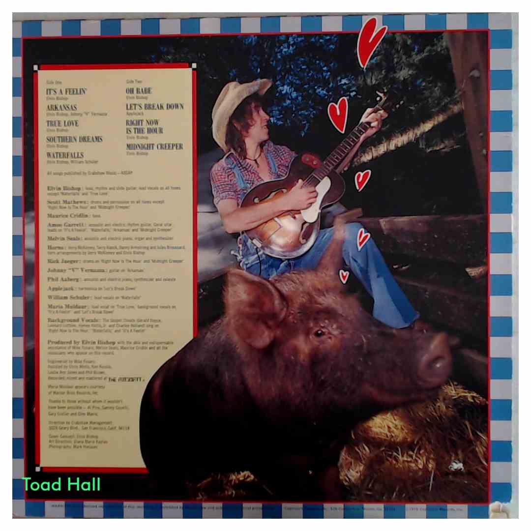 Elvin Bishop - Hog Heaven - Used Vinyl