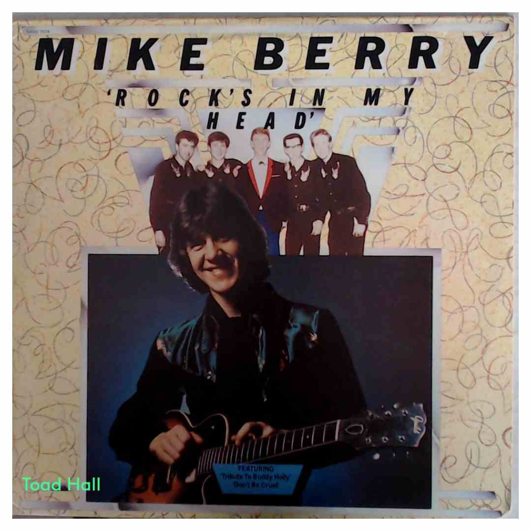 Mike Berry - Rock's In My Head - Used Vinyl