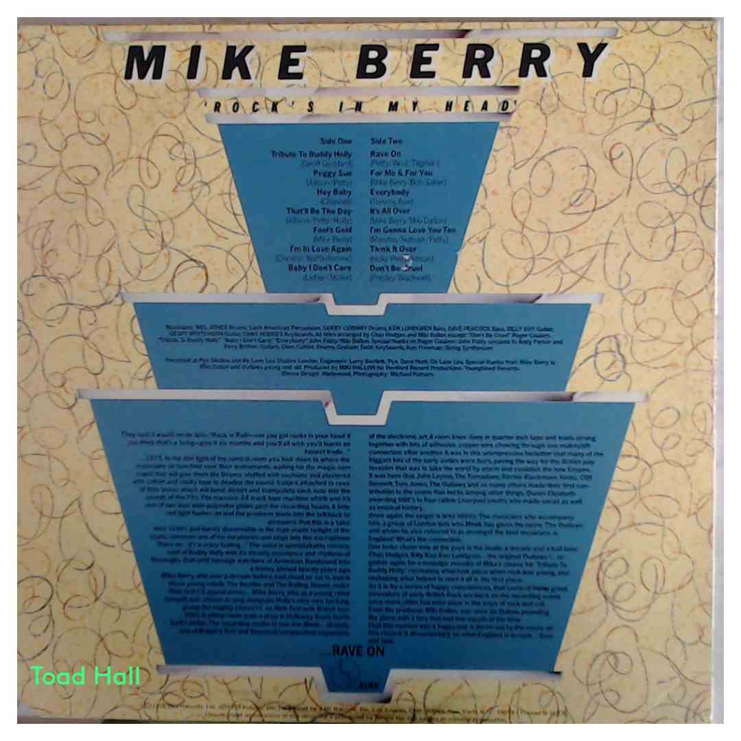 Mike Berry - Rock's In My Head - Used Vinyl