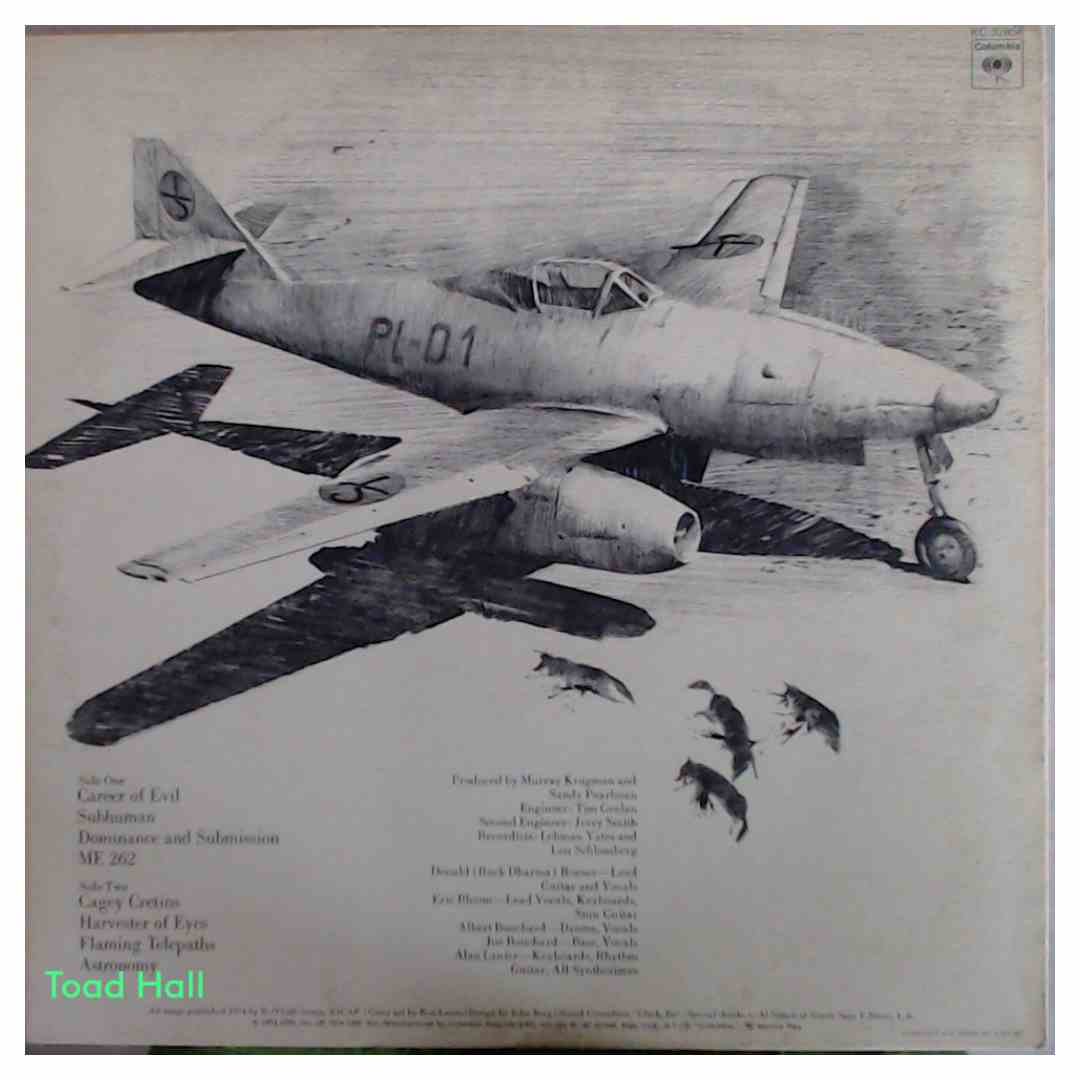 Blue Oyster Cult - Secret Treaties - Used Vinyl