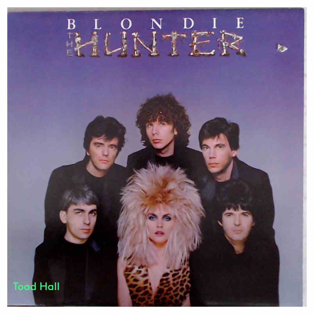 Blondie - Hunter - Used Vinyl