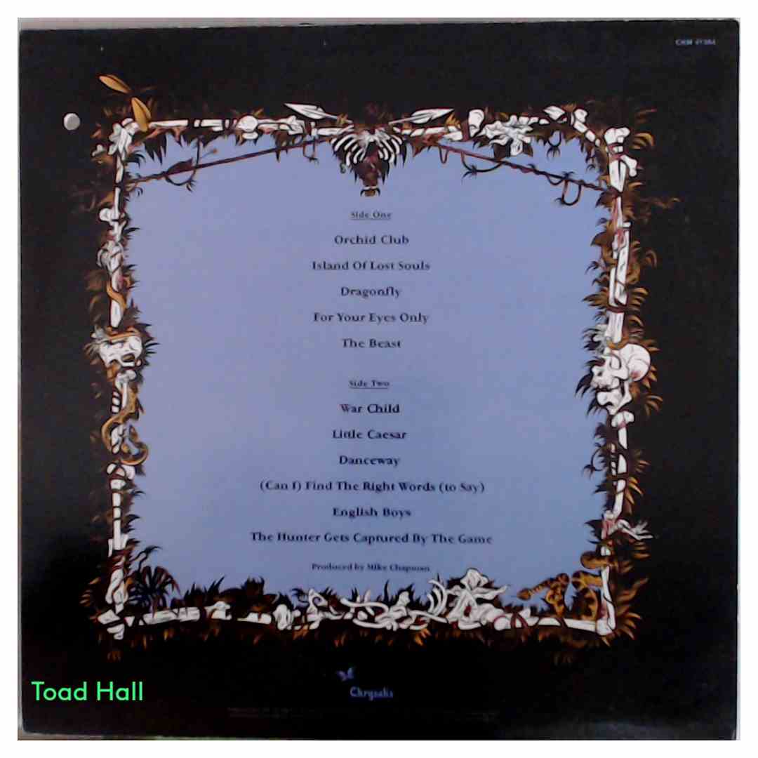 Blondie - Hunter - Used Vinyl