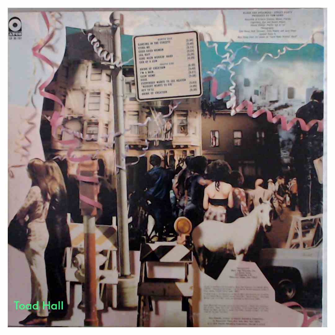 Black Oak Arkansas - Street Party - Used Vinyl