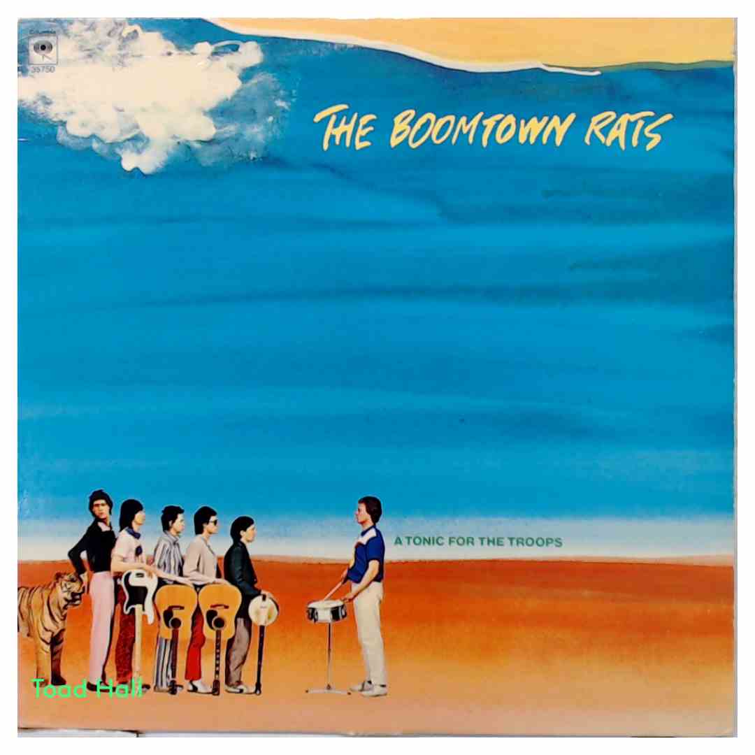 The Boomtown Rats - A Tonic For the Troops - Used Vinyl