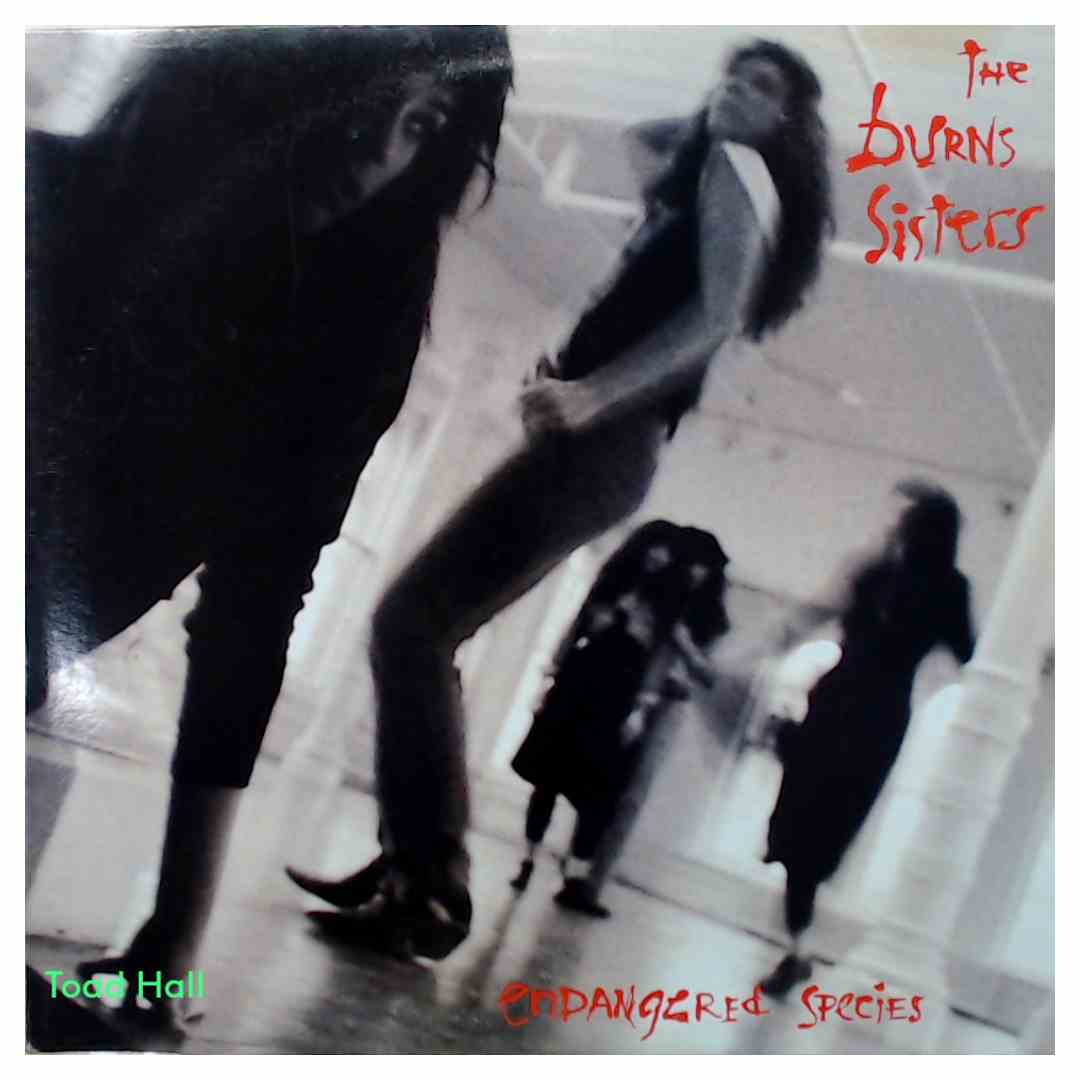 The Burns Sisters - Endangered Species (Promo Cover) - Used Vinyl