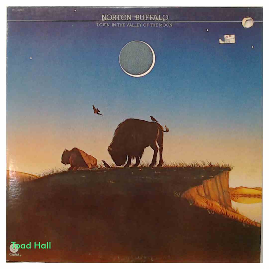 Norton Buffalo - Lovin' in the Valley of the Moon - Used Vinyl