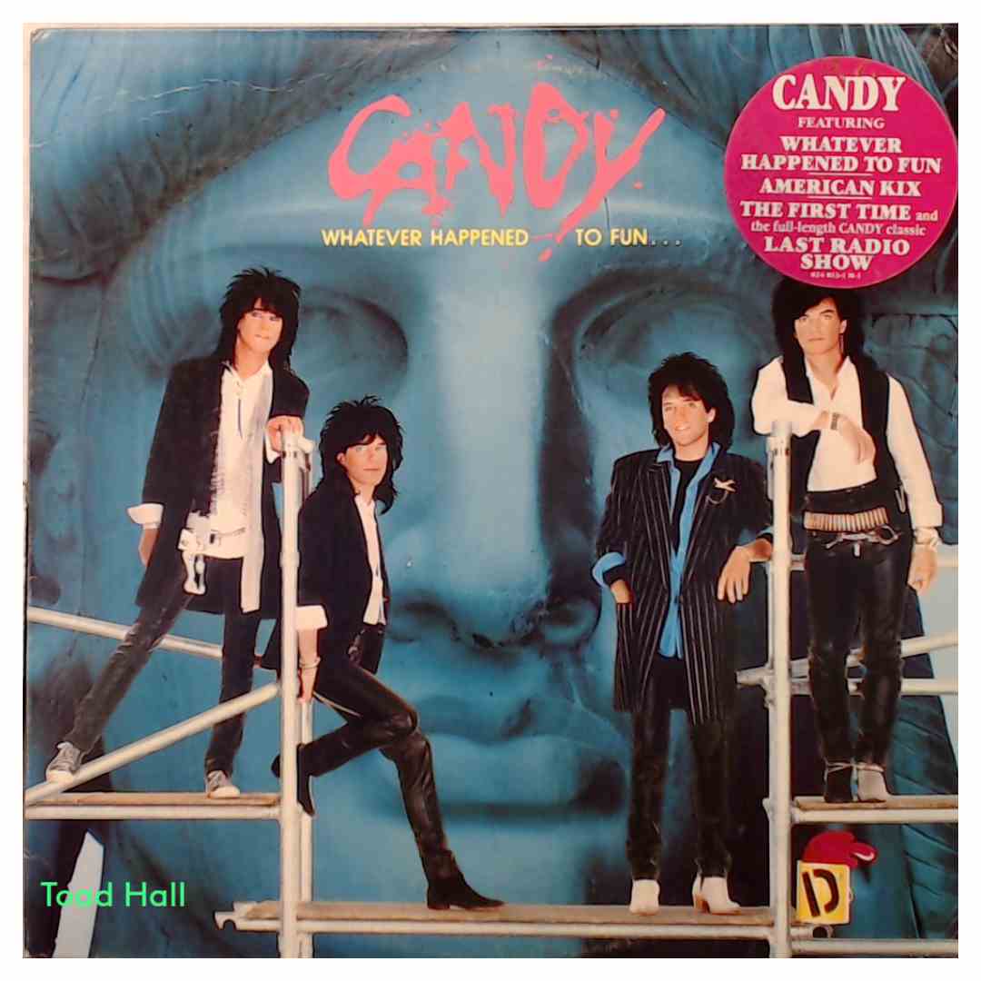 Candy - Whatever Happened To Fun (Promo Cover) - Used Vinyl