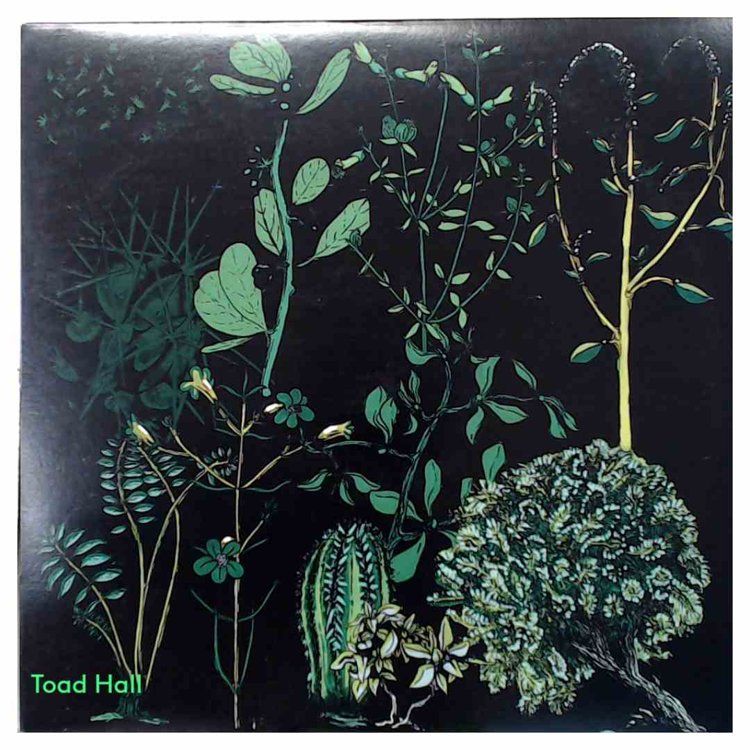 Campdogzz - In Rounds - Used Vinyl