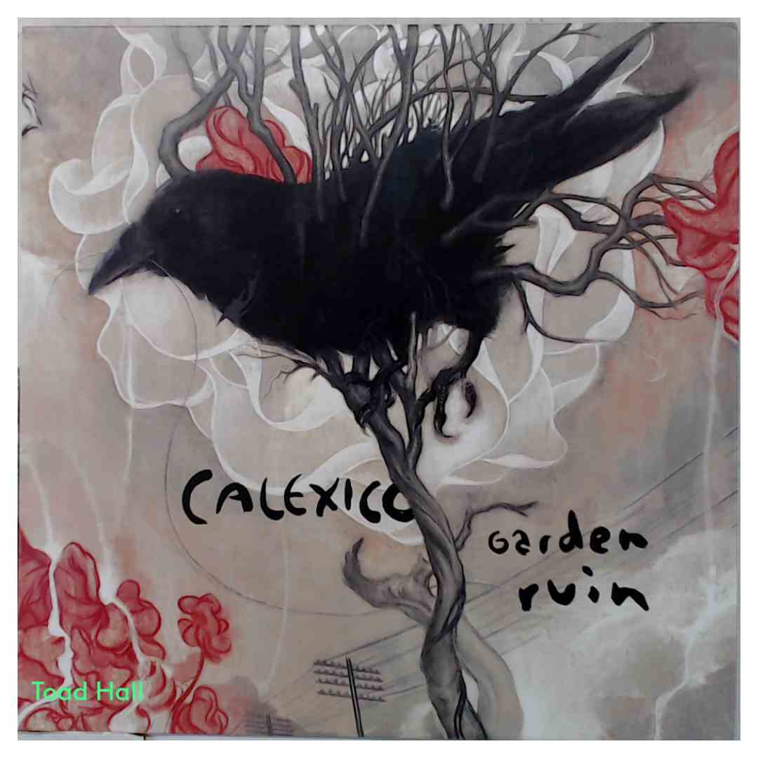 Calexico - Garden Ruin (Silver and White Vinyl) - Used Vinyl