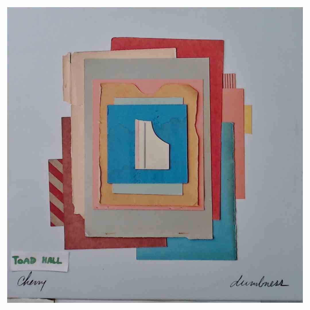 Cherry - Dumbness - Used Vinyl