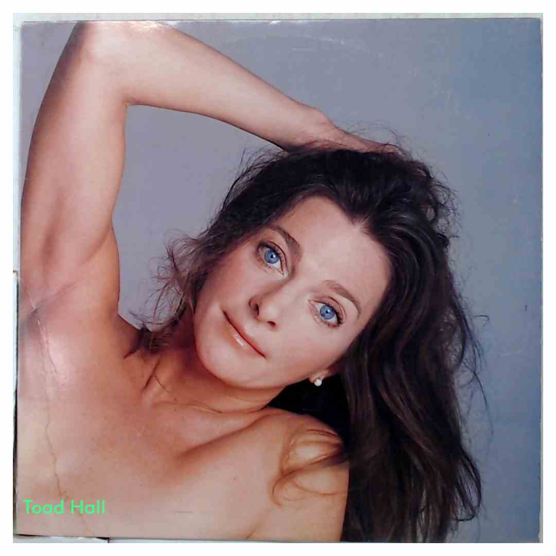 Judy Collins - Hard Times For Lovers - Used Vinyl