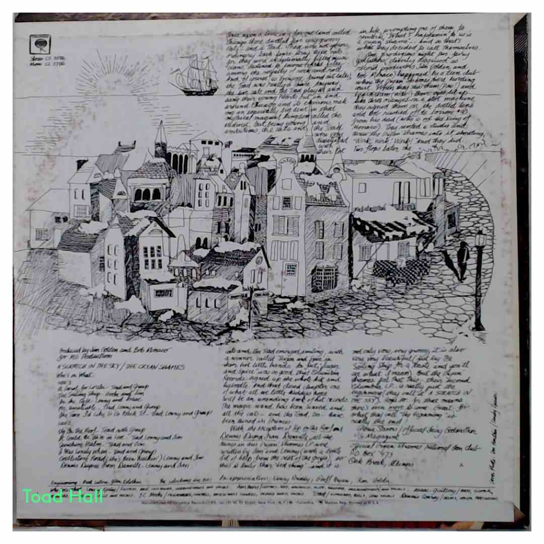 The Cryan' Shames A Scratch In The Sky Used Vinyl LP