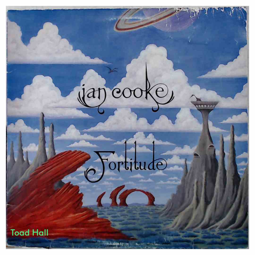 Ian Cooke - Fortitude (White Vinyl) - Used Vinyl