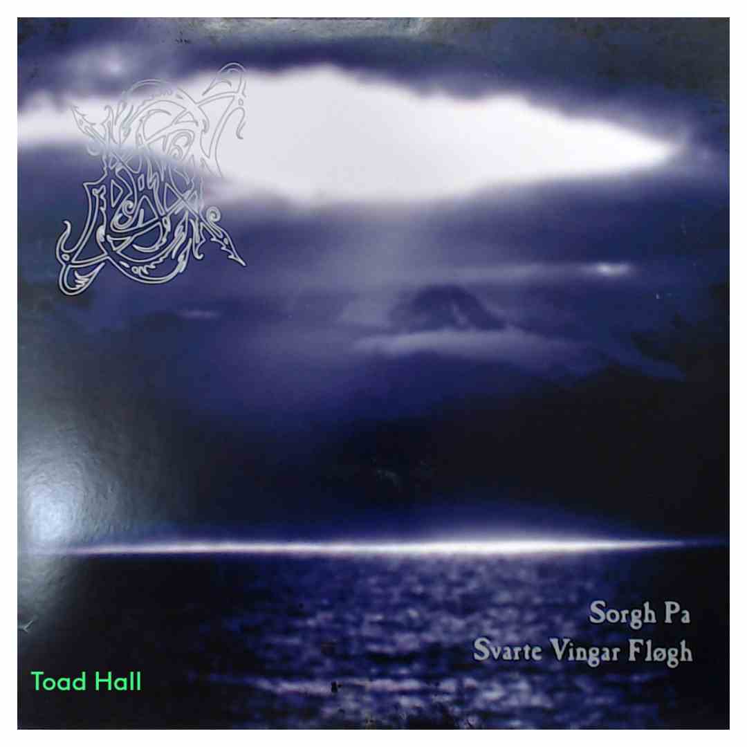 Dawn Sorgh Pa - Svarte Vingar Flogh - Used Vinyl