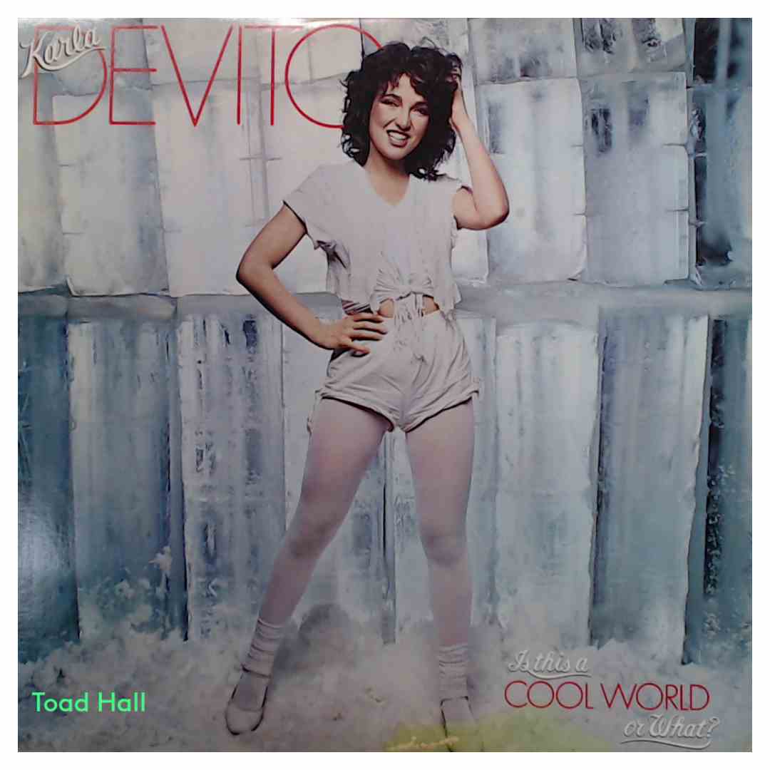 Karla Devito - Is This A Cool World Or What? (Sterling Press) - Used Vinyl