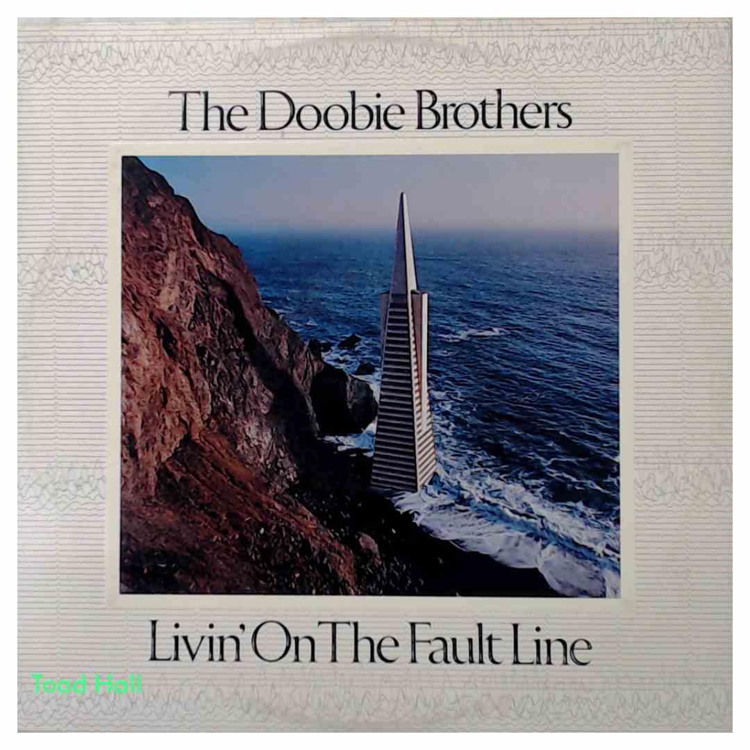 The Doobie Brothers Livin' On The Fault Line Used Vinyl LP