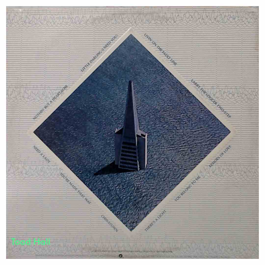 The Doobie Brothers Livin' On The Fault Line Used Vinyl LP