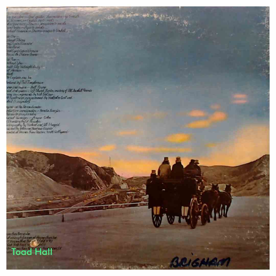 The Doobie Brothers - The Captain And Me - Used Vinyl