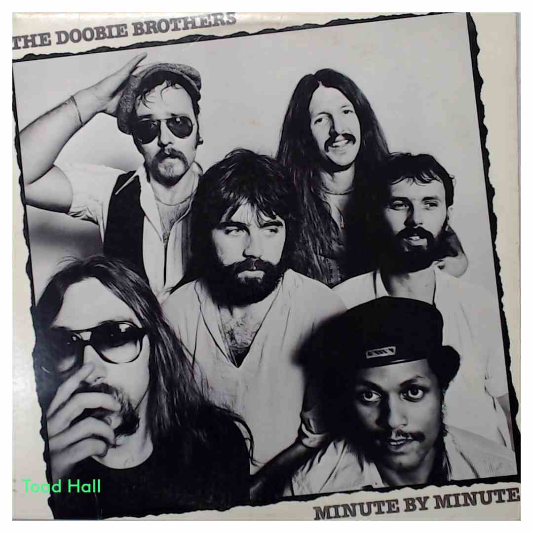 The Doobie Brothers Minute By Minute Used Vinyl