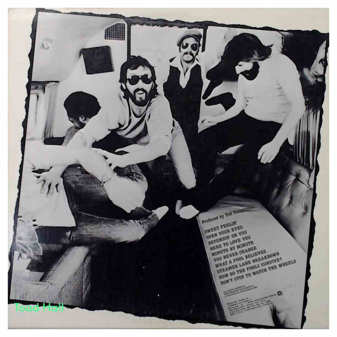 The Doobie Brothers Minute By Minute Used Vinyl