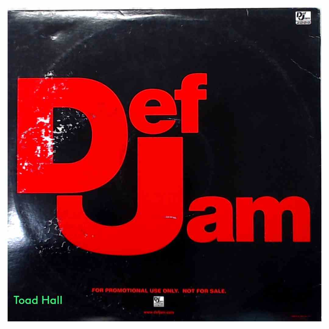 DMX - Grand Champ (Advance Radio Promo) - Used Vinyl