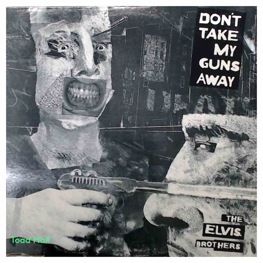 The Elvis Brothers - Don't Take My Guns Away (Promo Cover) - Used Vinyl