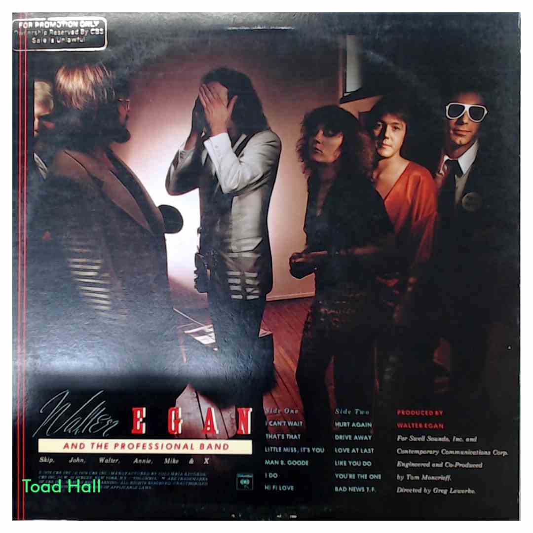 Walter Egan - Hi-Fi (Promo) - Used Vinyl