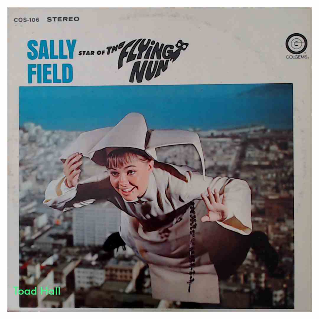 The Flying Nun (Soundtrack) - Used Vinyl