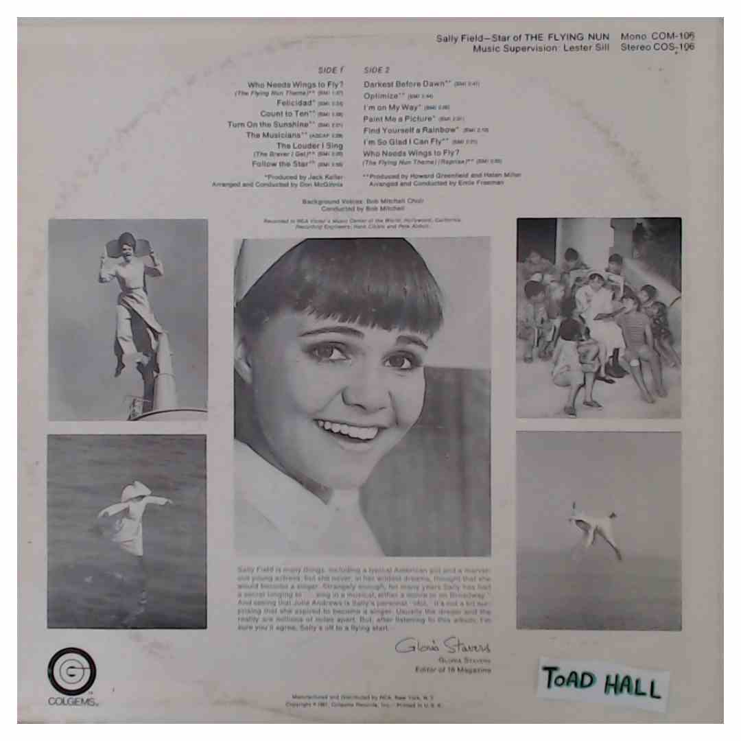 The Flying Nun (Soundtrack) - Used Vinyl