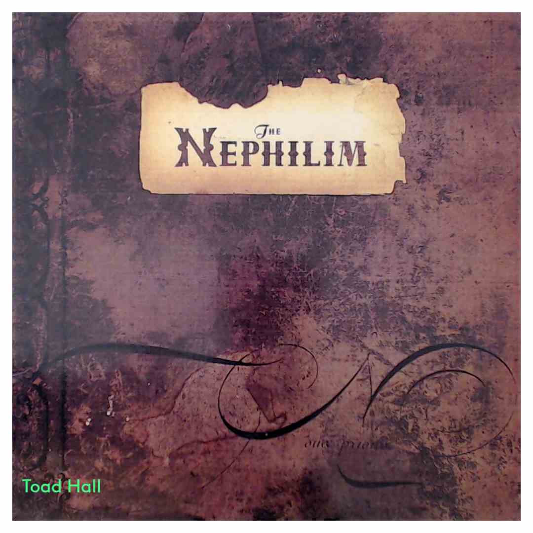 Fields Of The Nephilim - The Nephilim - Used Vinyl