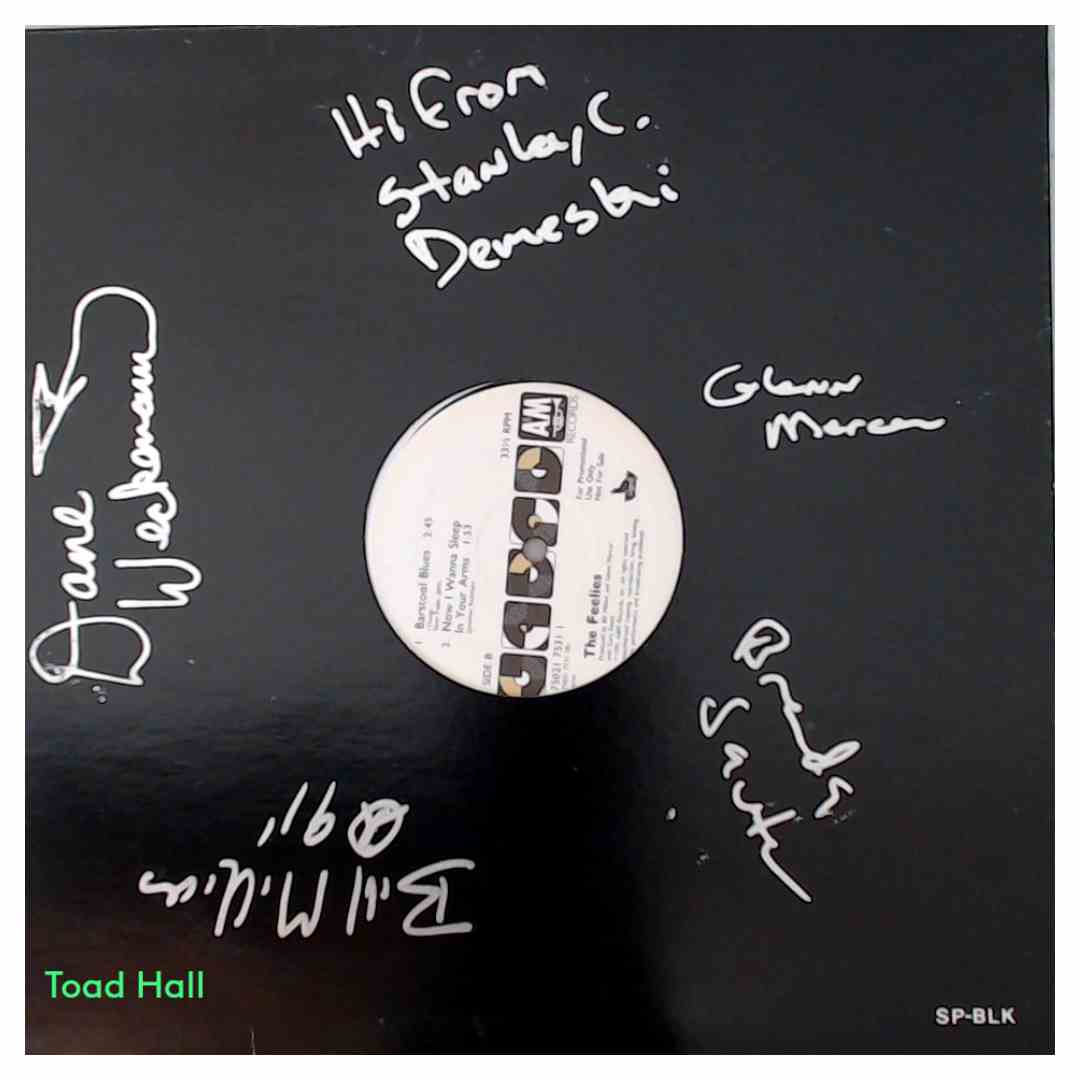 The Feelies - Doin' It Again (Remix - Signed LP) - Used Vinyl