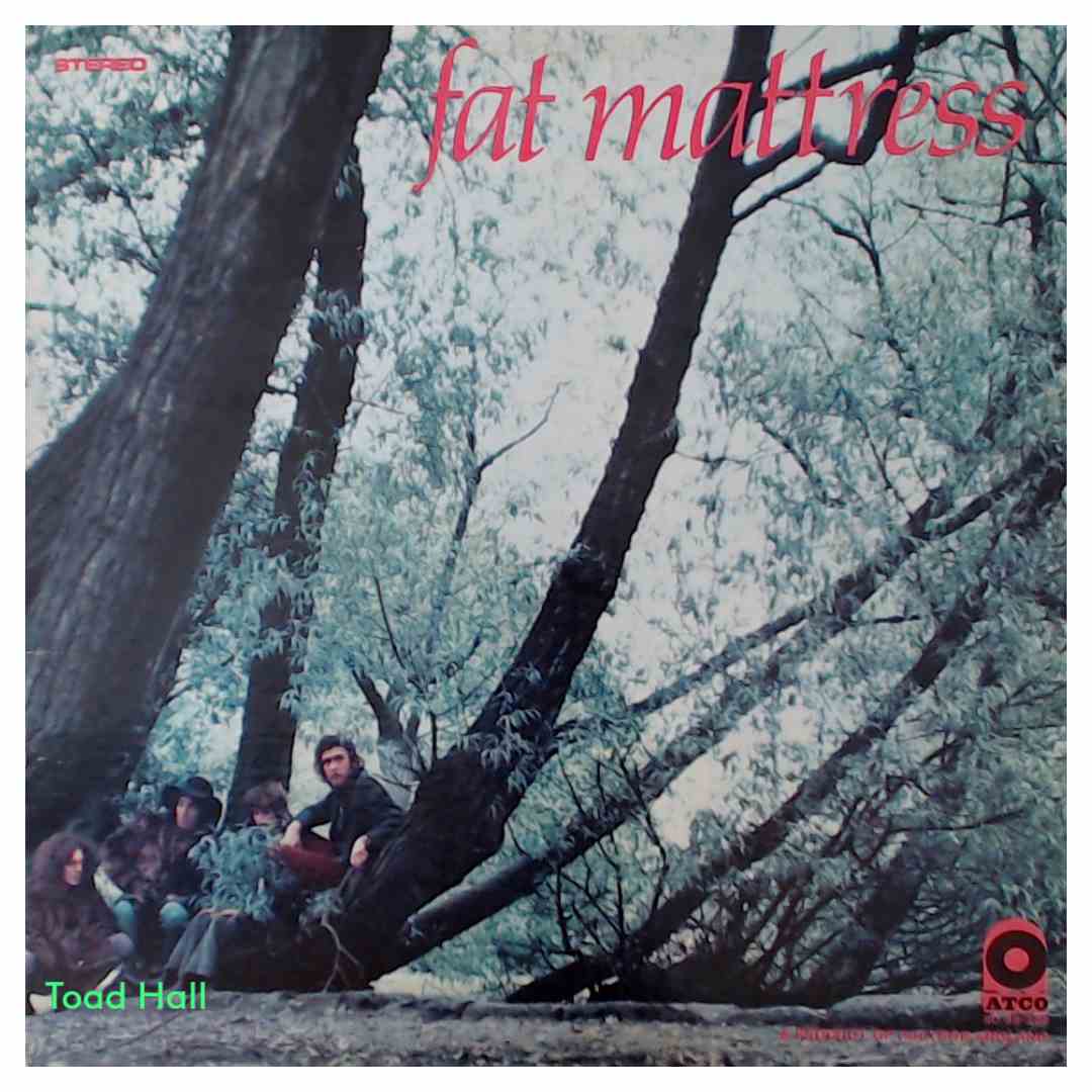 Fat Mattress - Fat Mattress - Used Vinyl