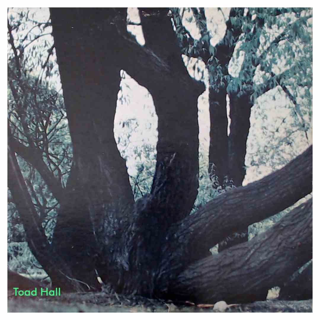 Fat Mattress - Fat Mattress - Used Vinyl