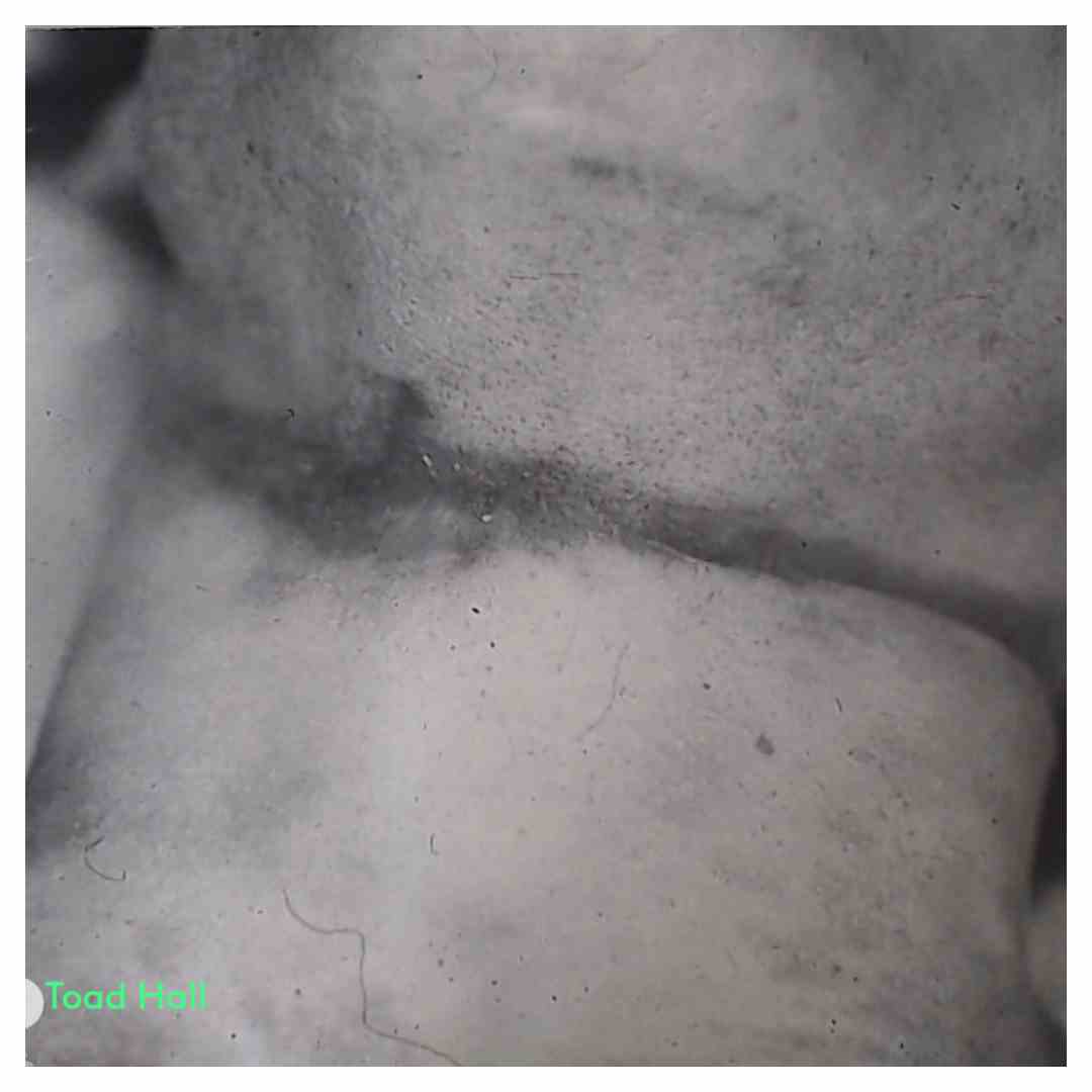 Faithealer - Bound and Chained - Used Vinyl