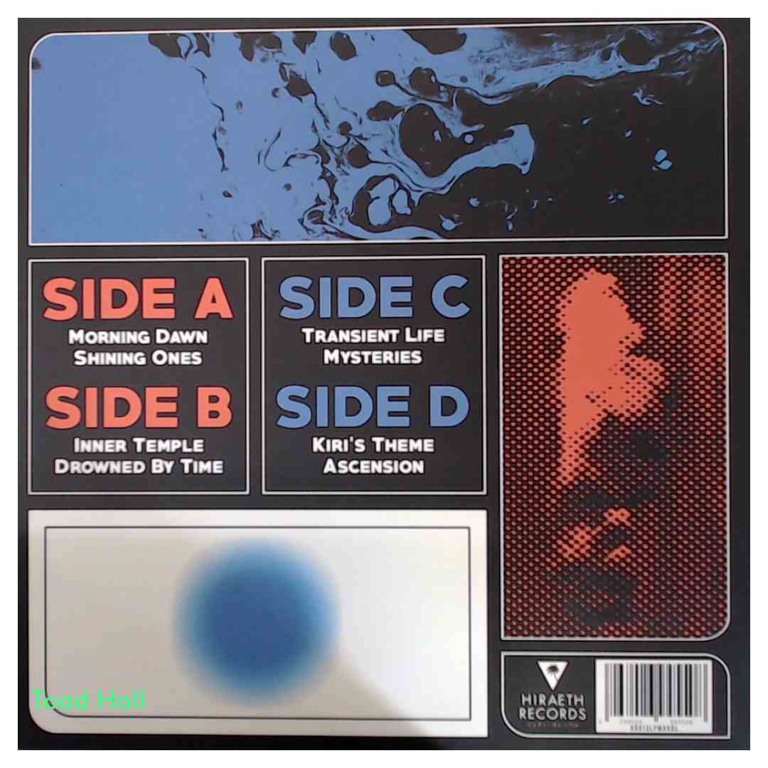 FTTH (From Tokyo to Honolulu) - Dream Waves - Used Vinyl