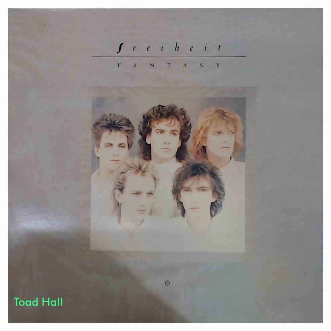 Freiheit - Fantasy (Promo Cover) - Used Vinyl